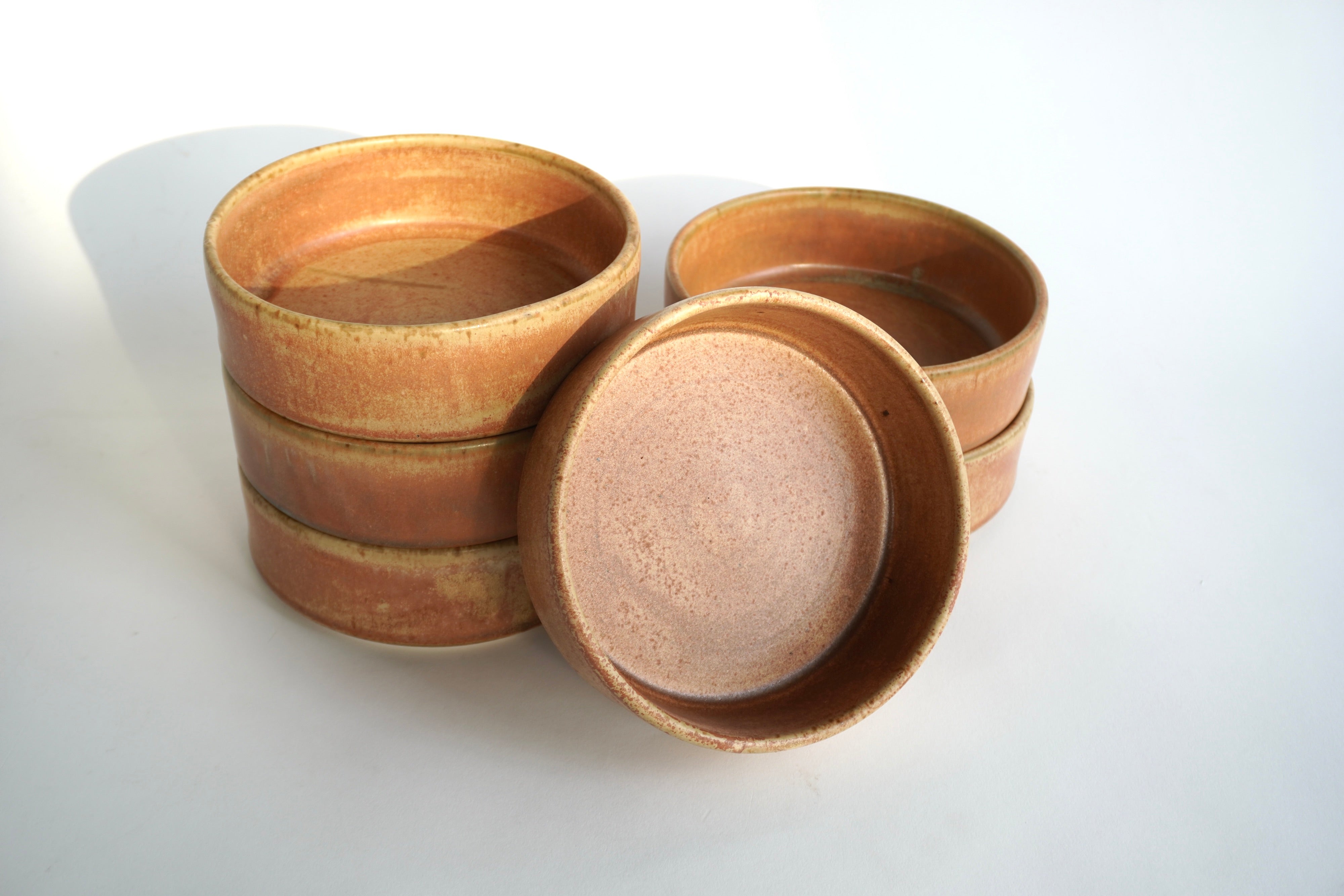 Terracota Set de 6 Bowls Con Pared